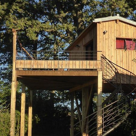 La Cabane Perchee Du Faucon Frechou-Frechet Exteriör bild