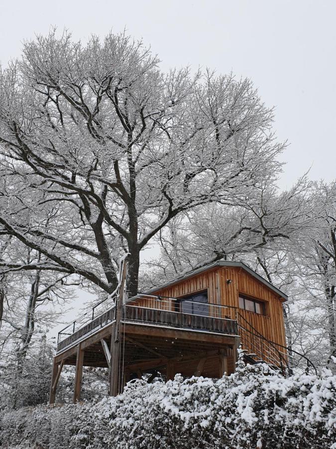 La Cabane Perchee Du Faucon Frechou-Frechet Exteriör bild