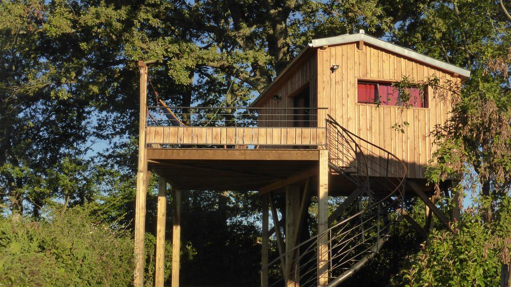 La Cabane Perchee Du Faucon Frechou-Frechet Exteriör bild